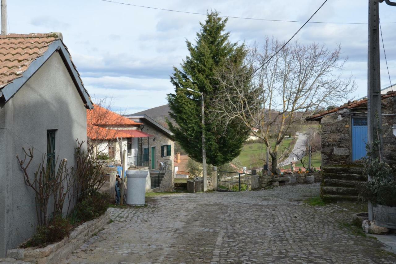 Casa Freixedelo Βίλα Santa Comba de Rossas Εξωτερικό φωτογραφία
