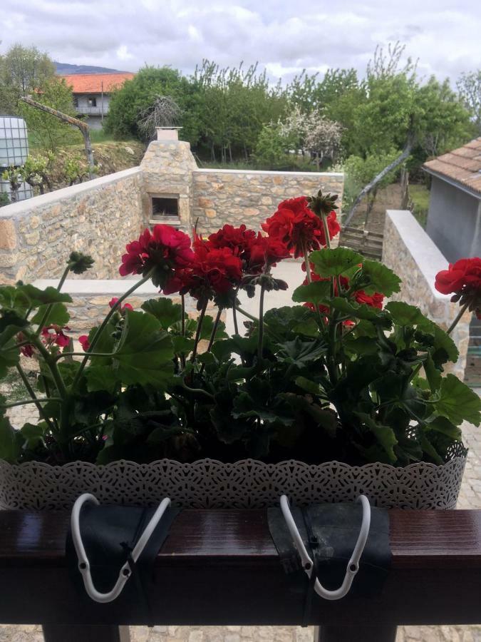Casa Freixedelo Βίλα Santa Comba de Rossas Εξωτερικό φωτογραφία