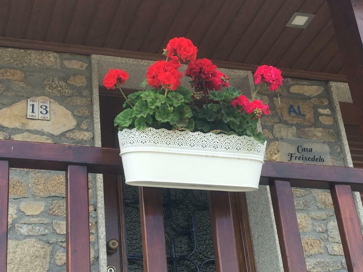 Casa Freixedelo Βίλα Santa Comba de Rossas Εξωτερικό φωτογραφία